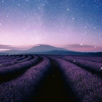自主改编