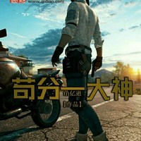 纯朴游戏风