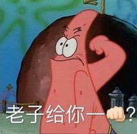 雪豹小隊
