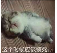 每天都好好活下去