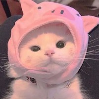 众服为信