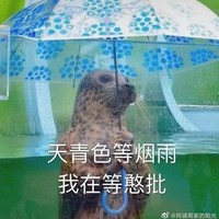 掉马日常
