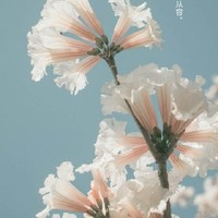 古秘