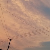 亞瑟的記事簿