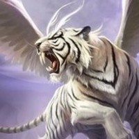 虎武士