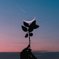 暮寒