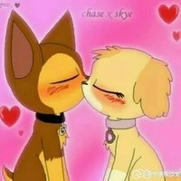 狗狗恋爱