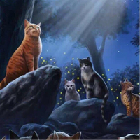 猫武士营地
