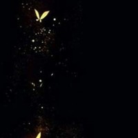 鵝鵝鵝