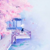 曇花學(xué)院