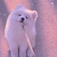 不止一个cp