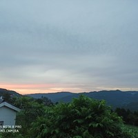霸道強寵