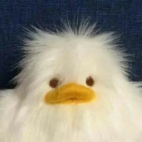 穷人的反击