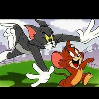 猫来了