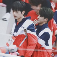 起起落落