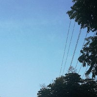 最终还是分开的爱情