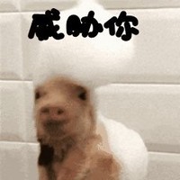 总裁你家橘子跑丢了