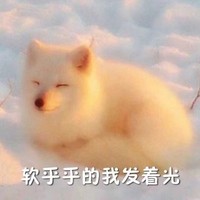 暗戀這件小事兒