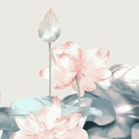 多个支线