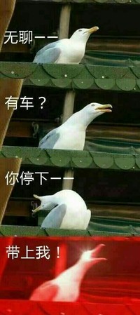 陰郁向