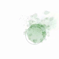 全文绿茶无固定
