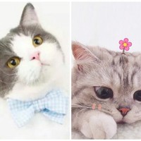 写什么还不一定