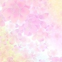 后岳传