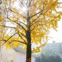 不同选择