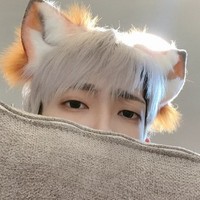傻狐貍
