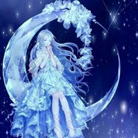 星辰花精灵王