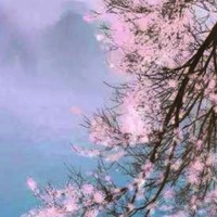 穹鏡