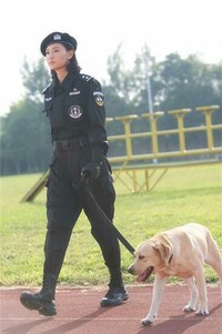训犬