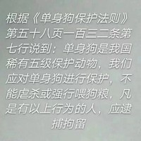 舒克贝塔同人