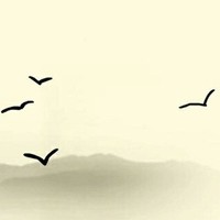 迷幻剧情
