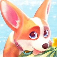 短腿小柯基