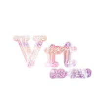 Vrt战队