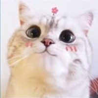 沙雕男主意得超能力
