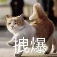 兰粉勿进