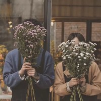 张子枫彭昱畅