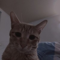人生語句