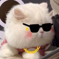 小学生的推理与悬疑