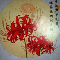 无原内容