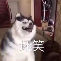 mc日常生存