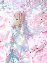 主角是叶琴琴