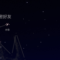 水母