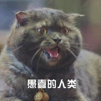 贵妇cp
