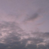 家族背景強(qiáng)大