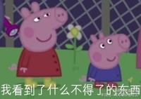 瑞幻