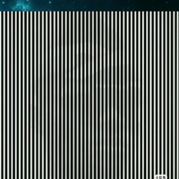 羽梟