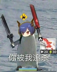 放鸽